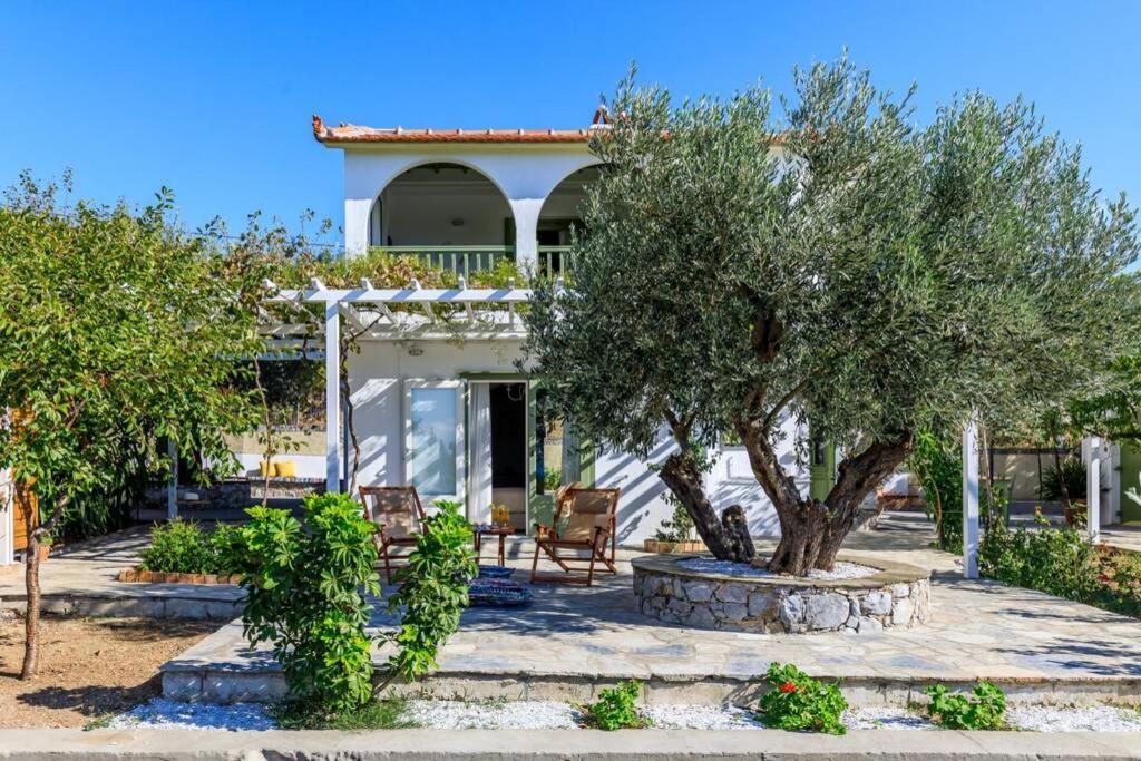 Nina-Myrtia Countryside House Skopelos Ditropo エクステリア 写真