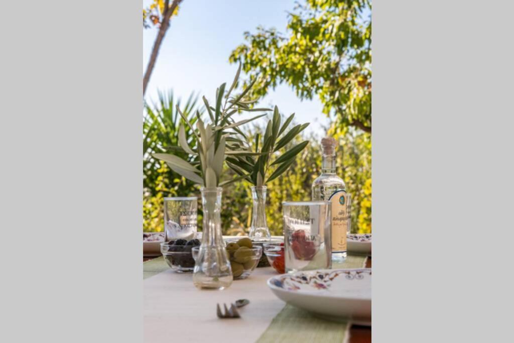 Nina-Myrtia Countryside House Skopelos Ditropo エクステリア 写真